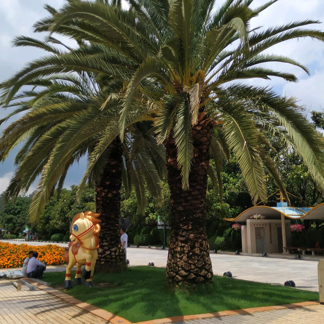 快乐每一天哈哈