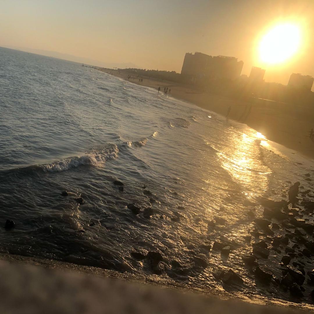 飞燕儿