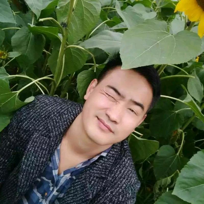 眉县猕猴桃收购行情联播(黄心红心绿心)