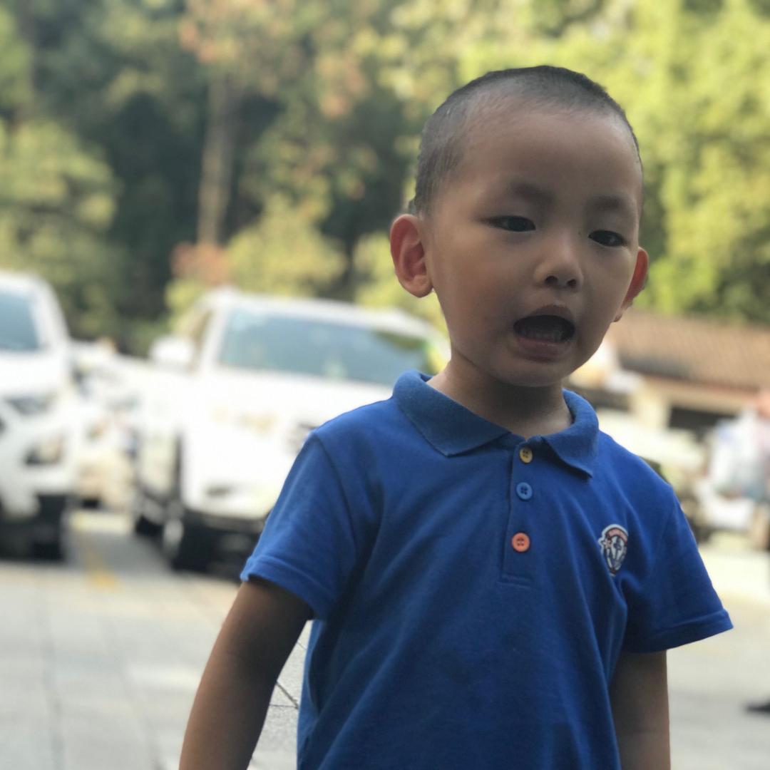 小小鸟