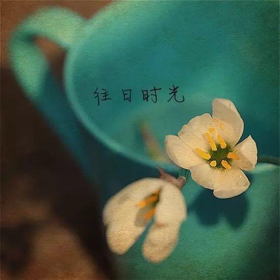 笑看流年，轻语岁月