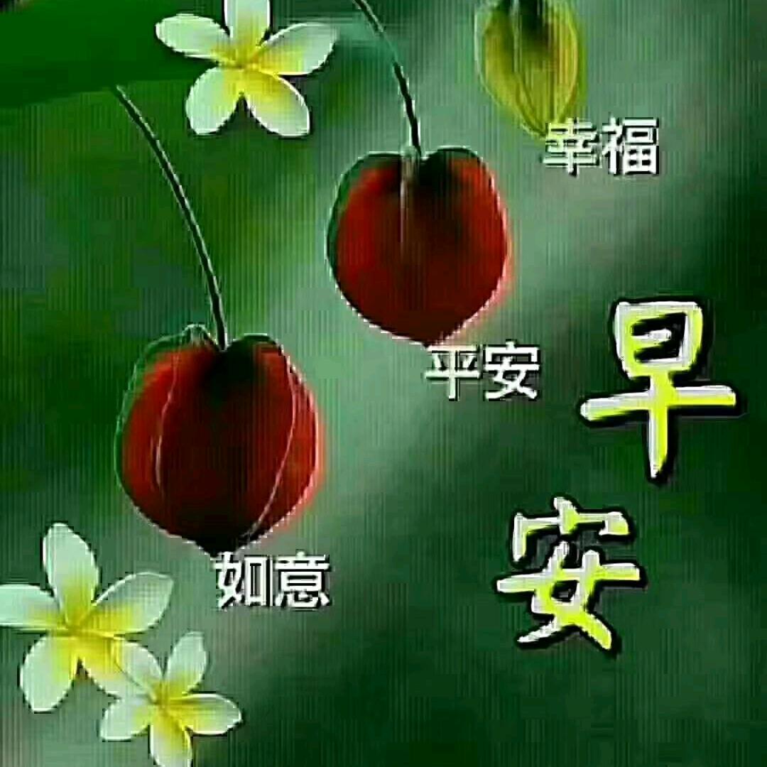 平安是福🌹🌹