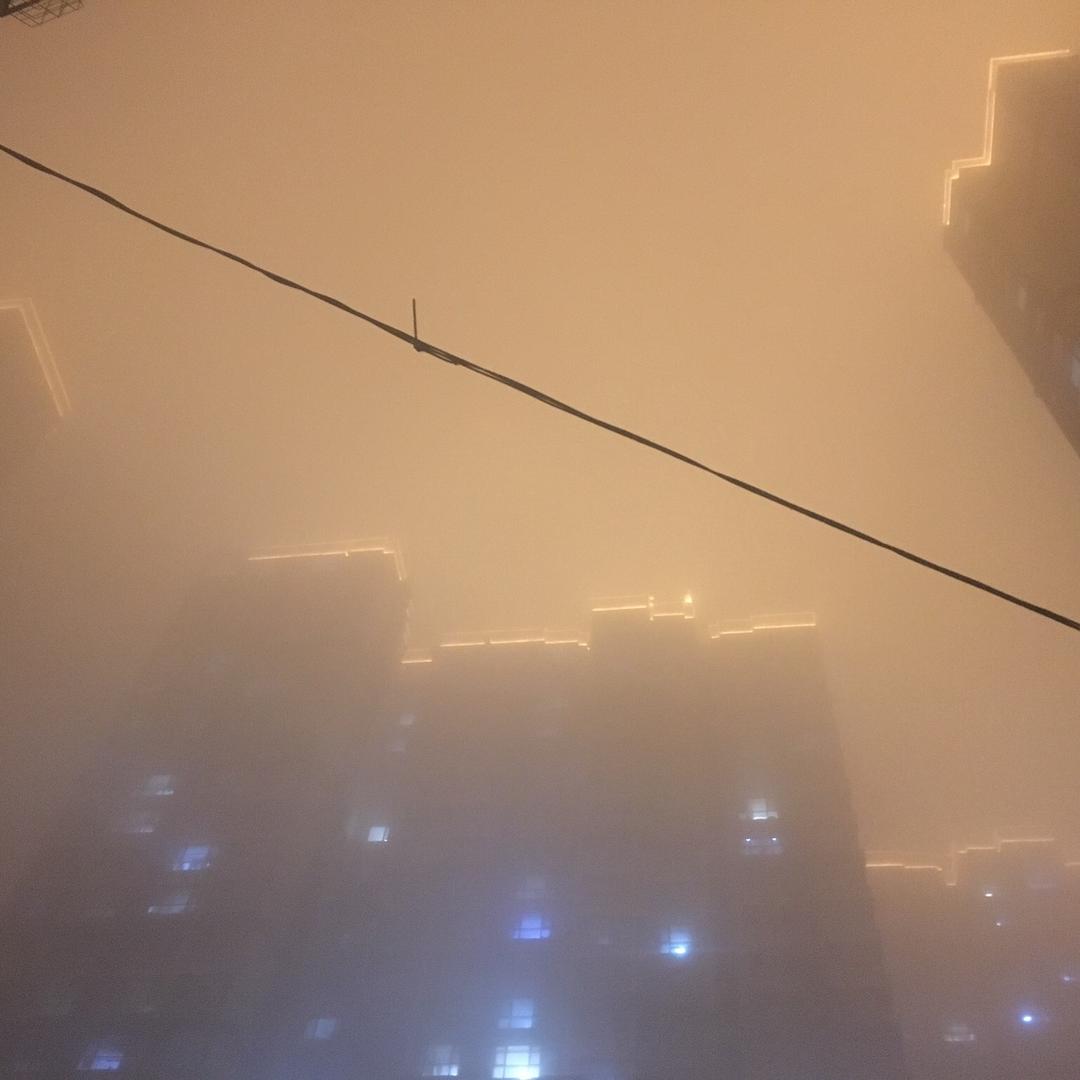 榆钱爱炒股