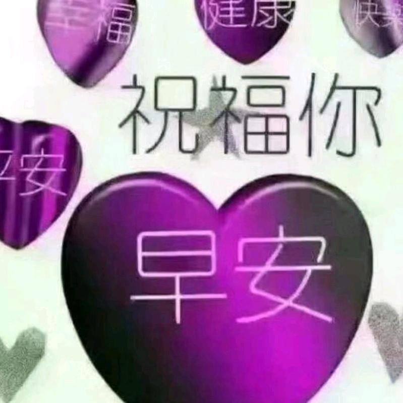 天天好