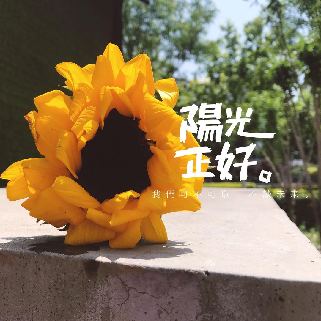 Ss小太阳。🔆