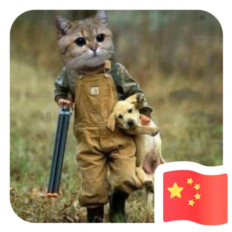 𝒲𝒶𝓃ℊ ᥫᩣ疯癫