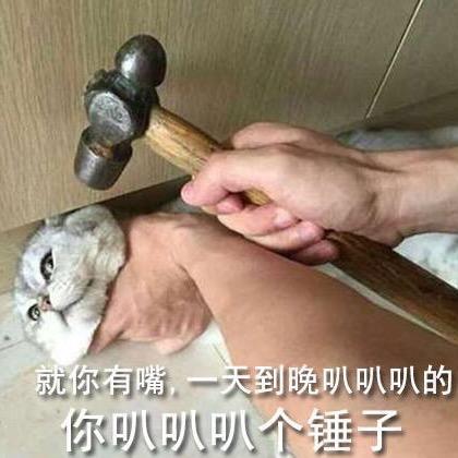 军