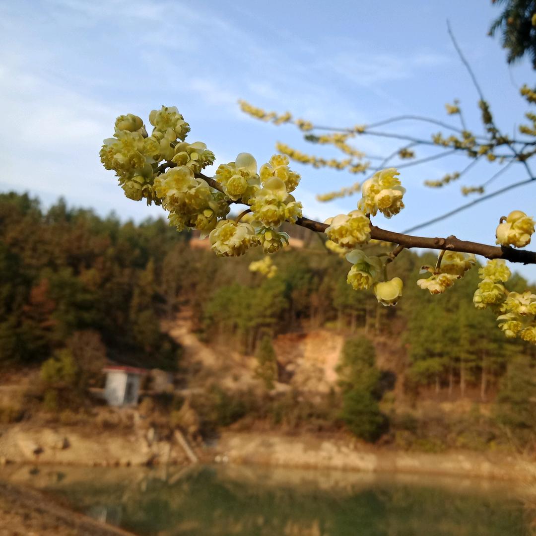 宜春全屋定制王憨憨