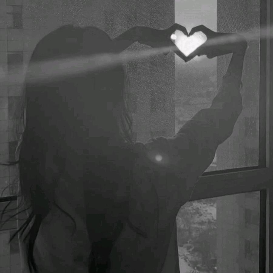 Heart plug