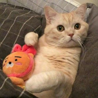 长长久久