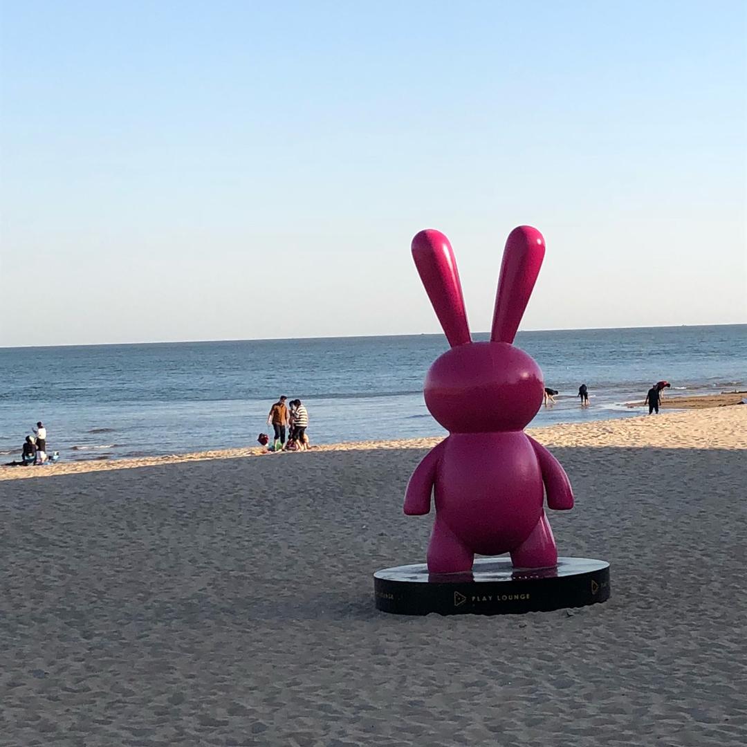 自由自在的娃娃鱼