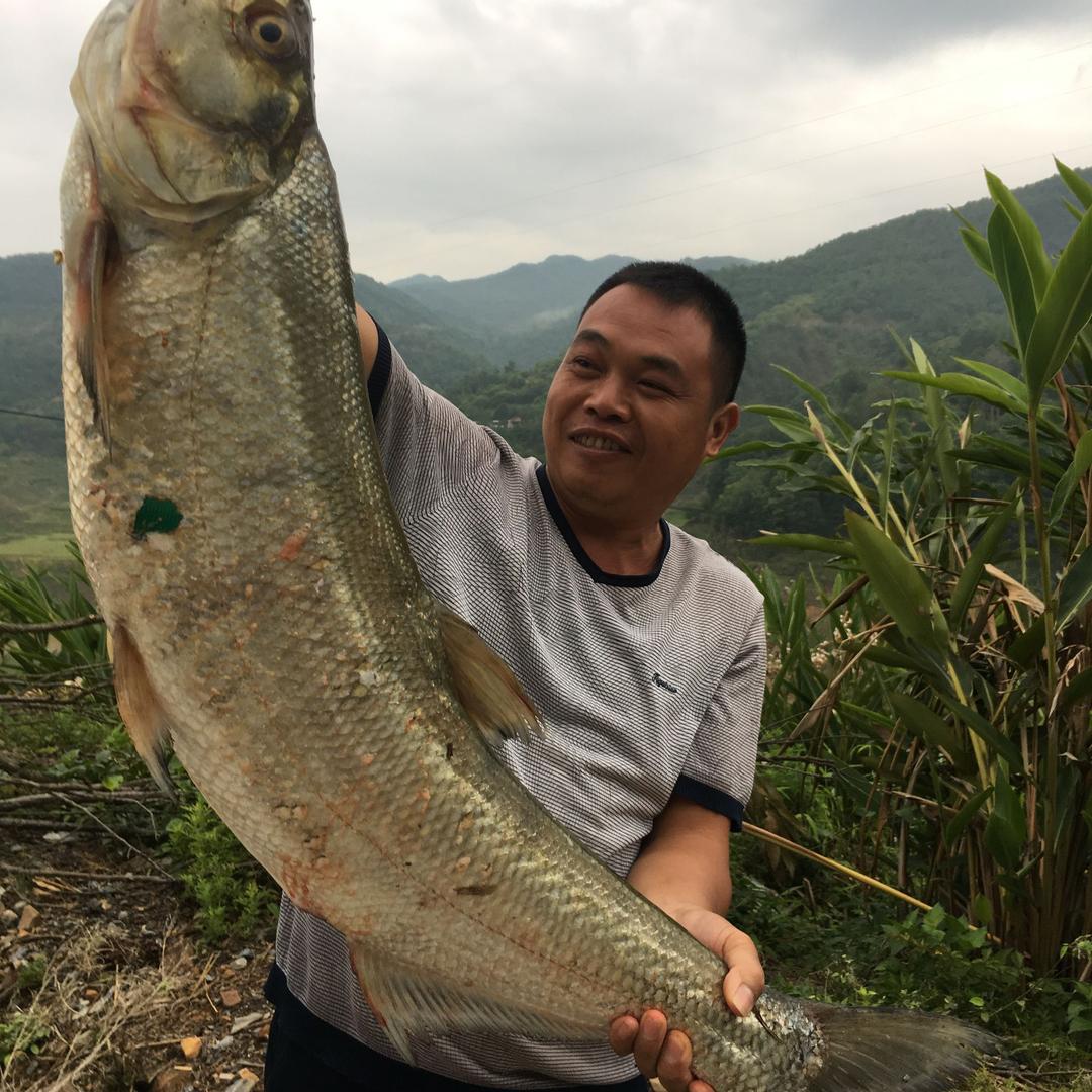 贵州罗甸八茂筏钓排岑运贤