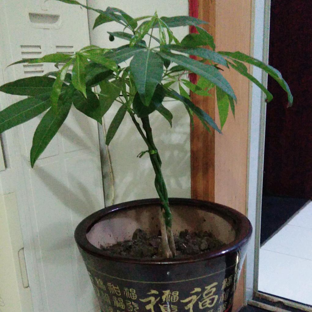 平安