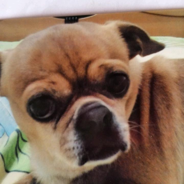 宝贝