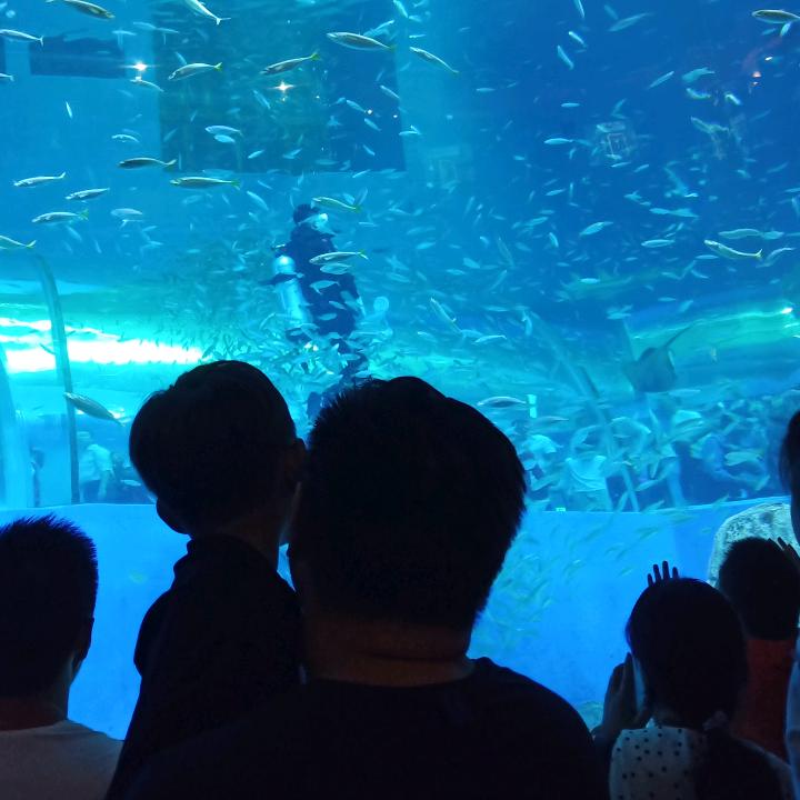 @遇见更好的自己