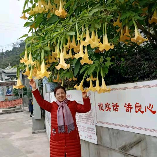 罗大姐
