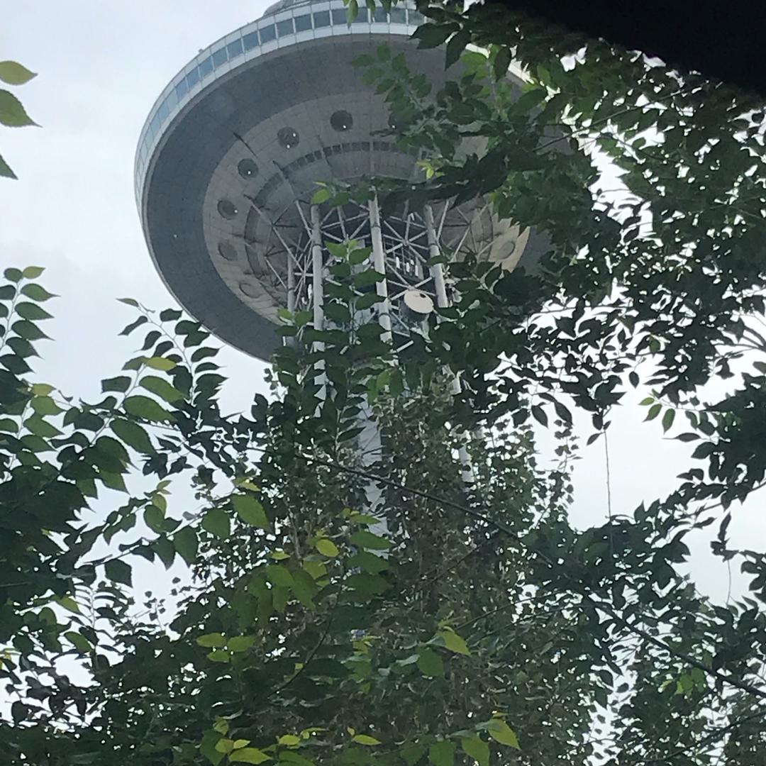 不知道