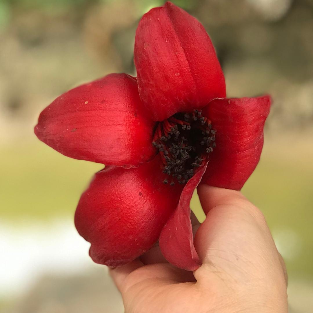 豪气少女👩🏻‍🌾