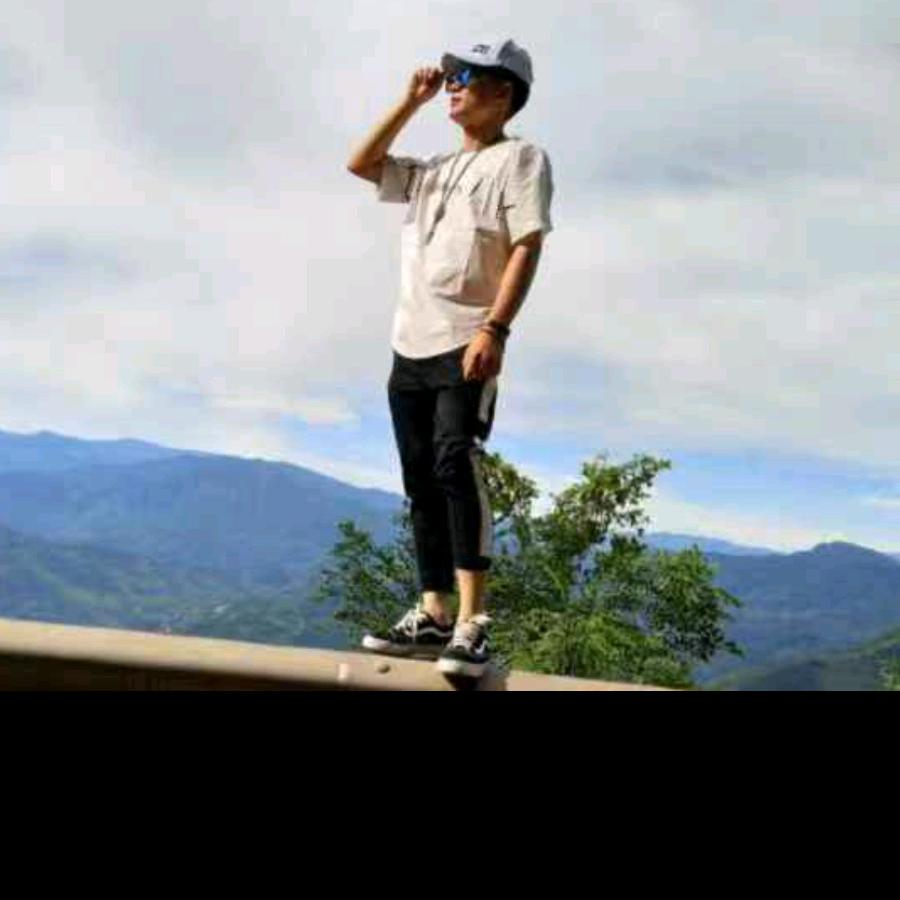 星星   乐乐   豆豆