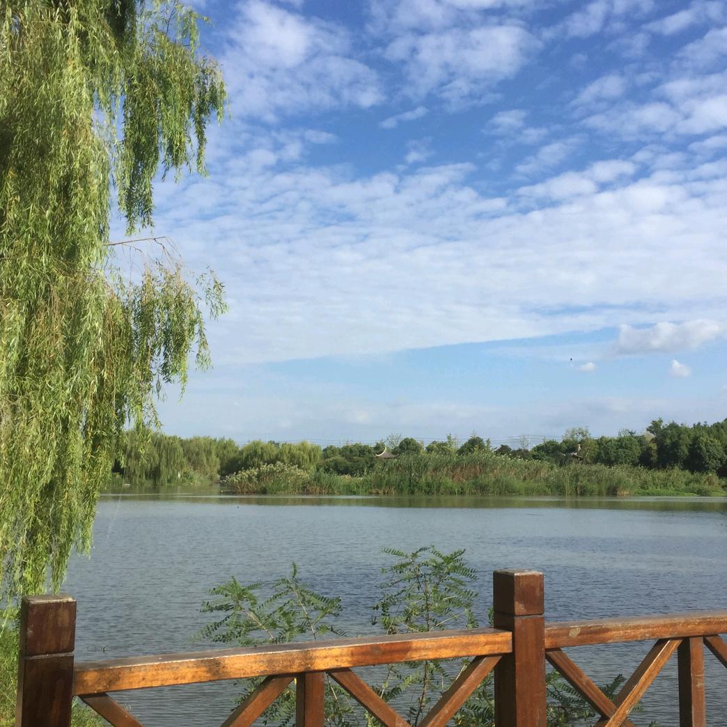 用户5291402540783栀子花开