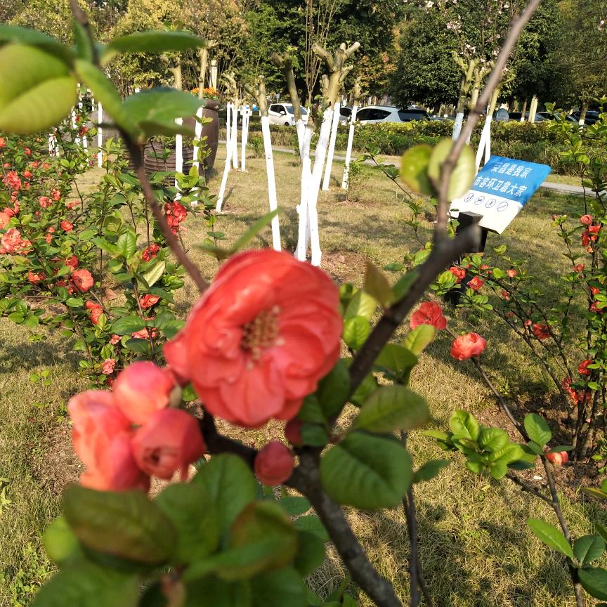 爱好自己――馨雨