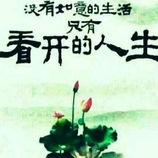 科二科三培练