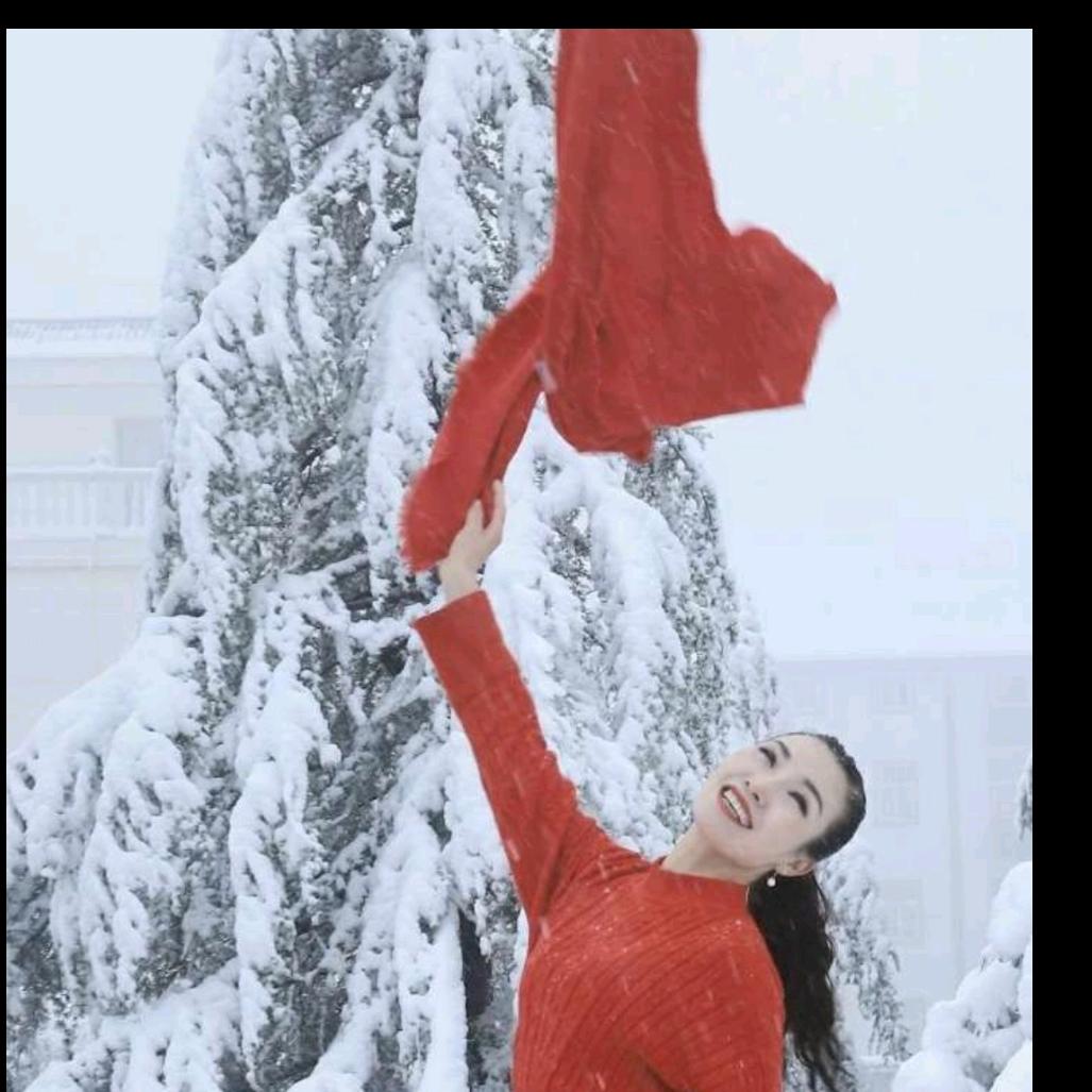 雾中花