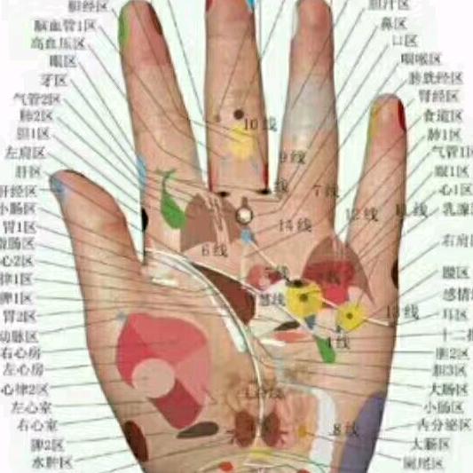 古月三皮，手诊