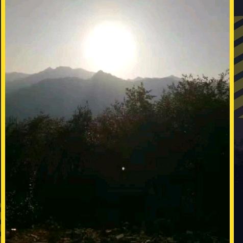 春风十里，不如你