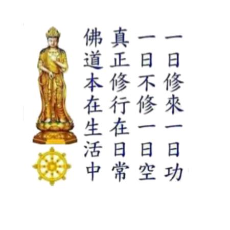 一生所爱