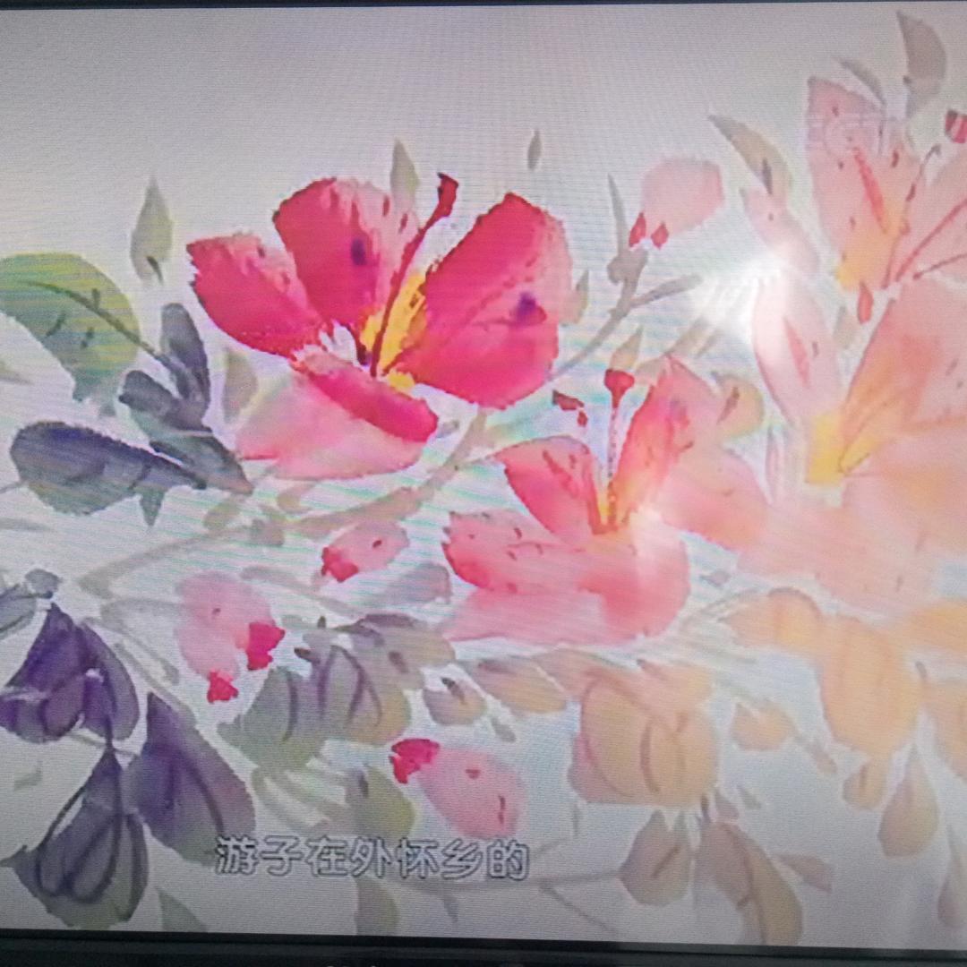 林海听涛