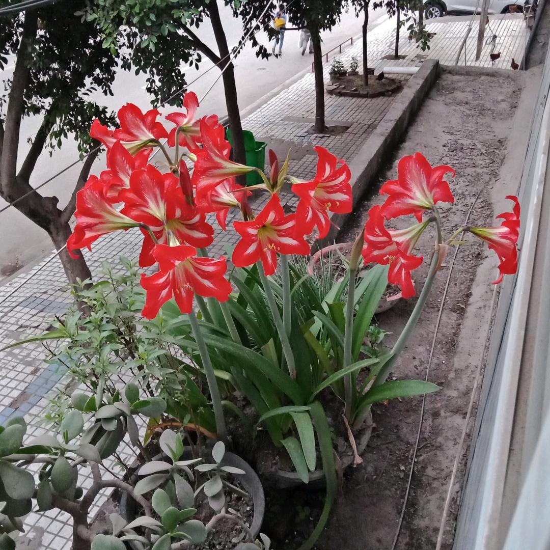 琼珍☜