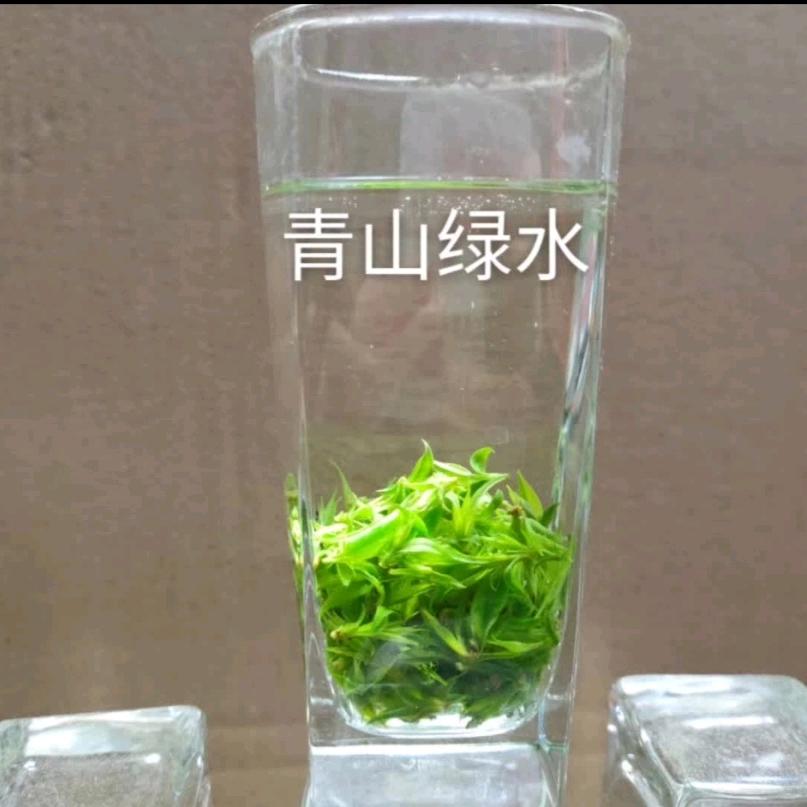 春芽茶行（蒙顶山茶）