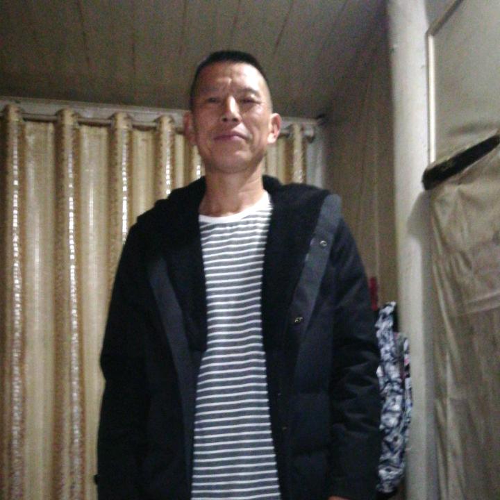 舒特