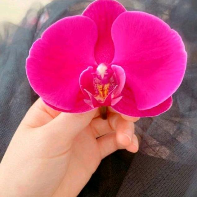 玲姐😊
