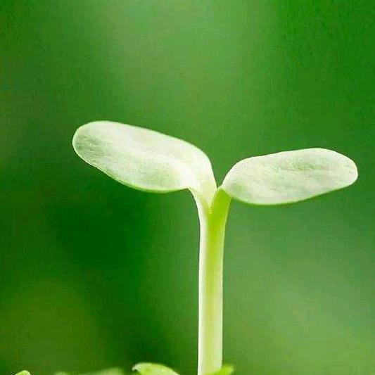 松下电器（居然之家5楼）