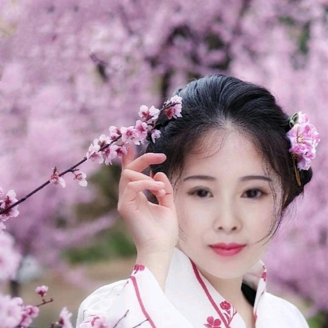 彩云追月