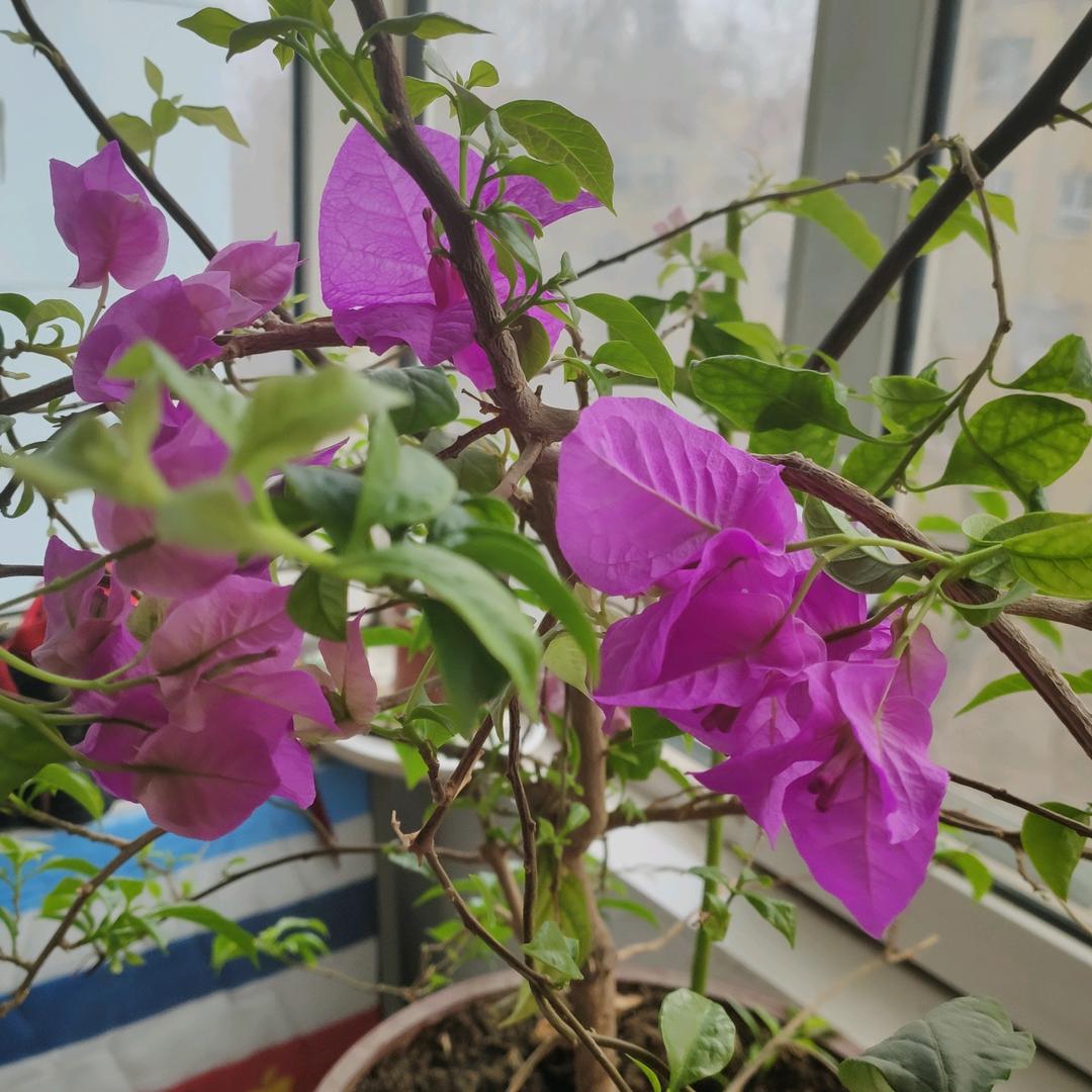 克拉玛依区茶味滋奶茶店