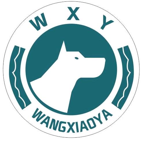 王小鸭