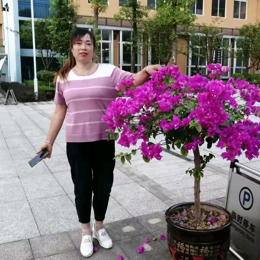 七一年坚强的女人