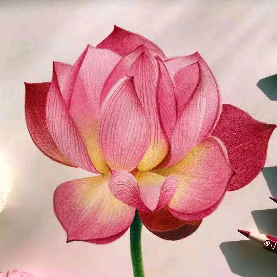 七月归去来