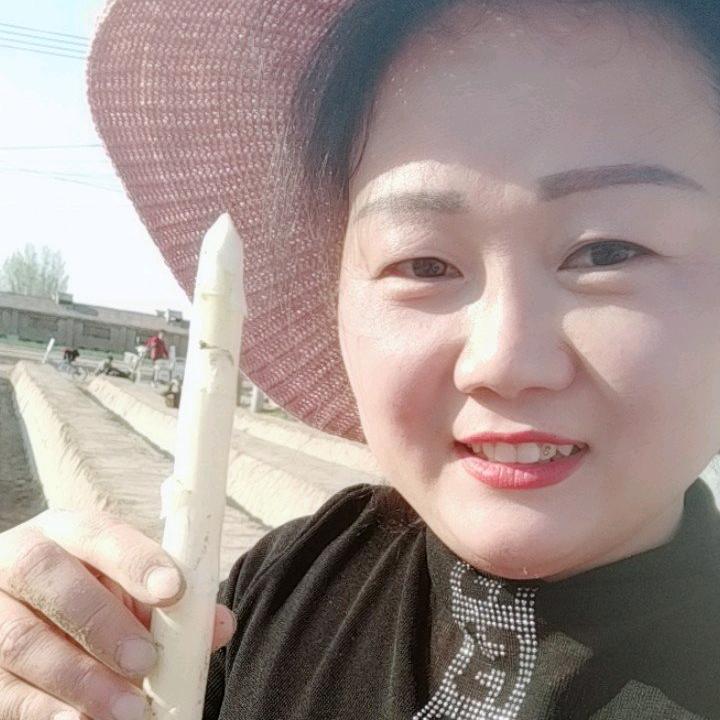 嘉辰家