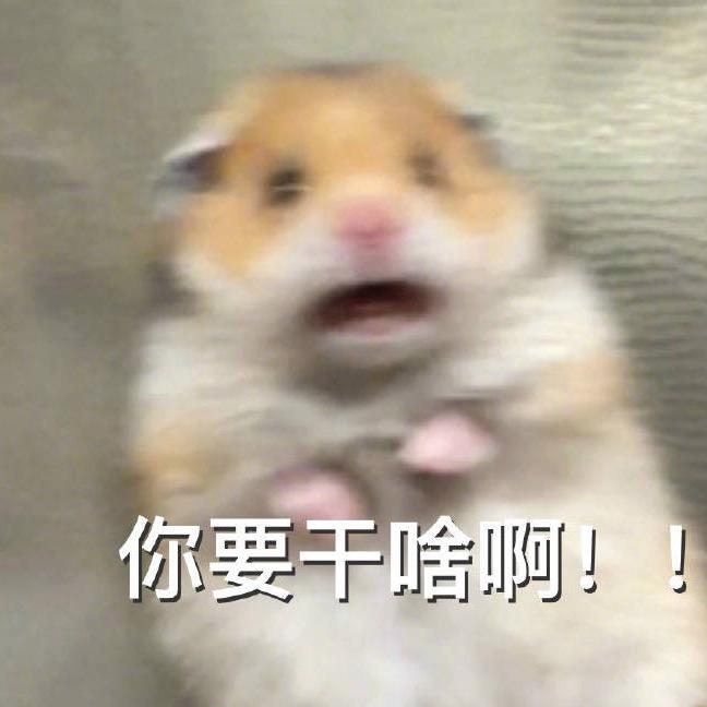 哪吒