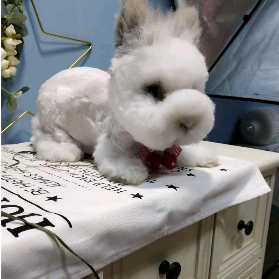 幼儿园的👉匪头子👑