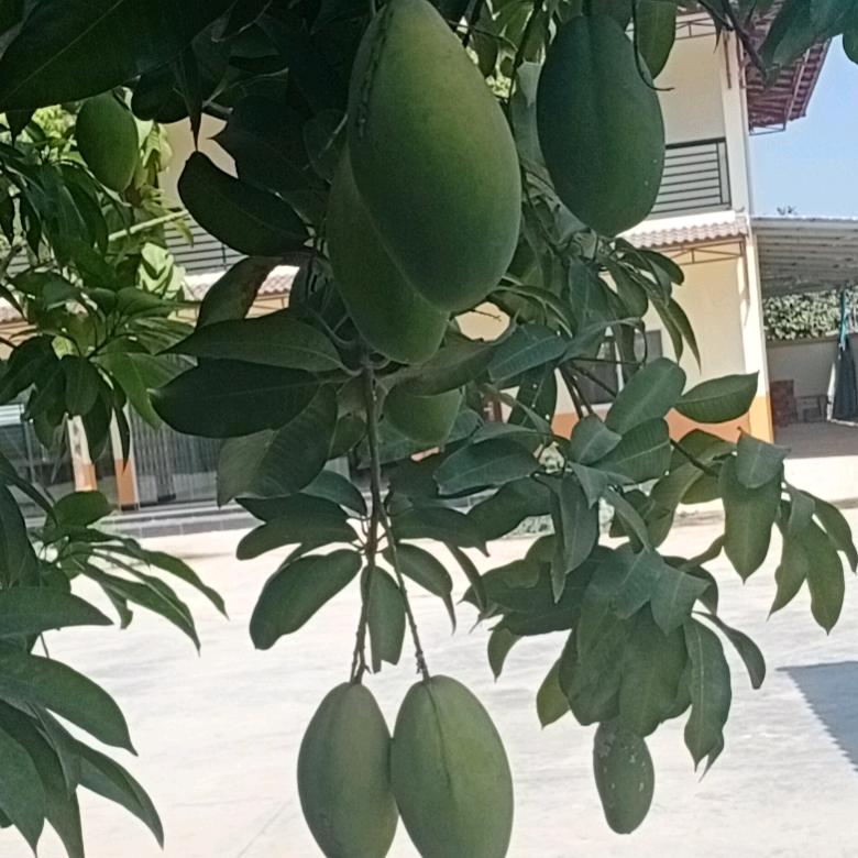 独慎