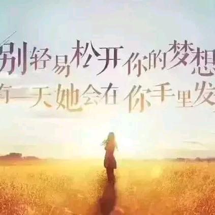 彩虹树下的约定