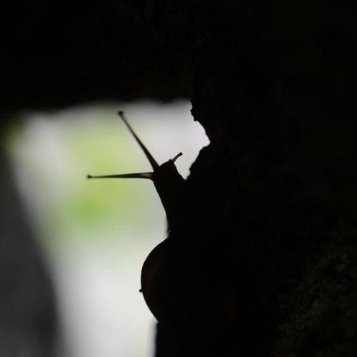 高 中 数 学 课程1