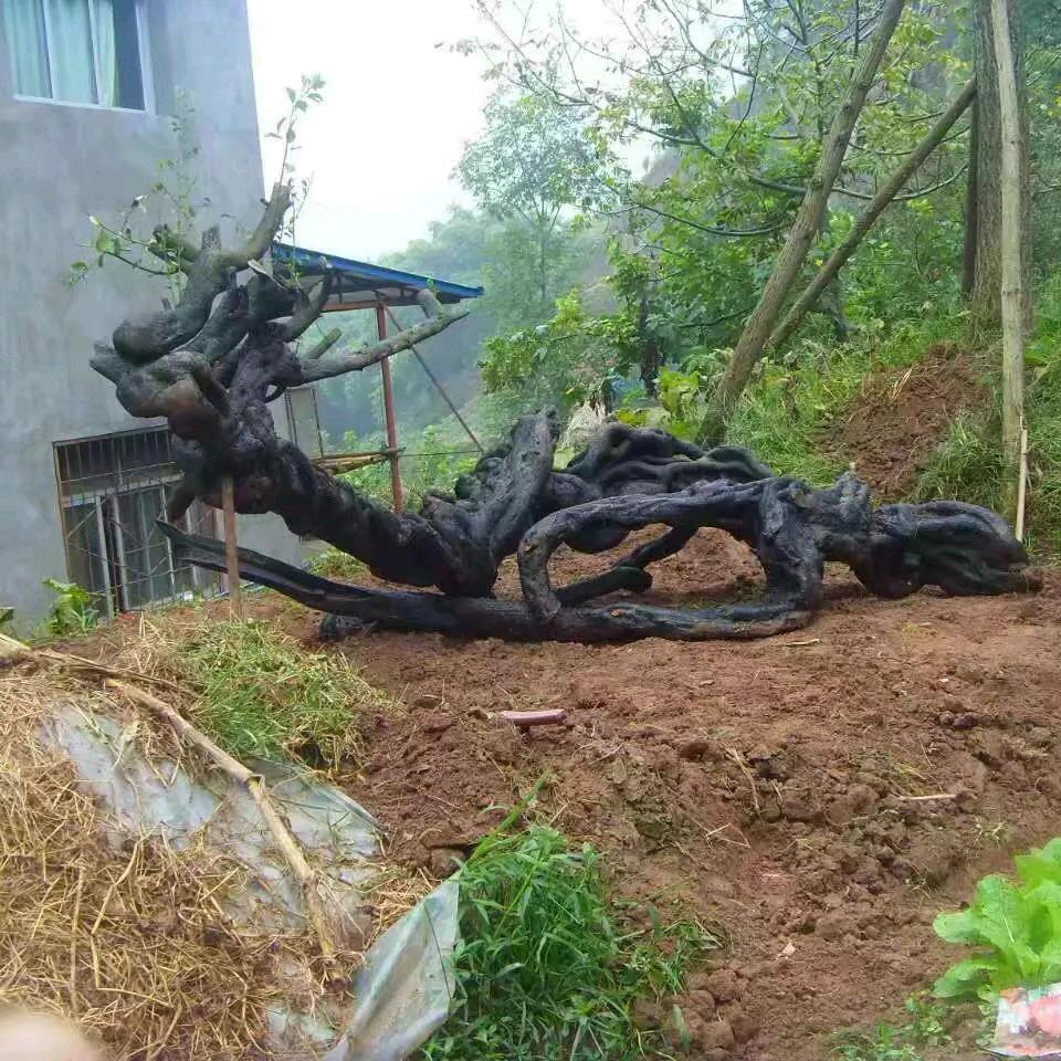 匆 ，匆
