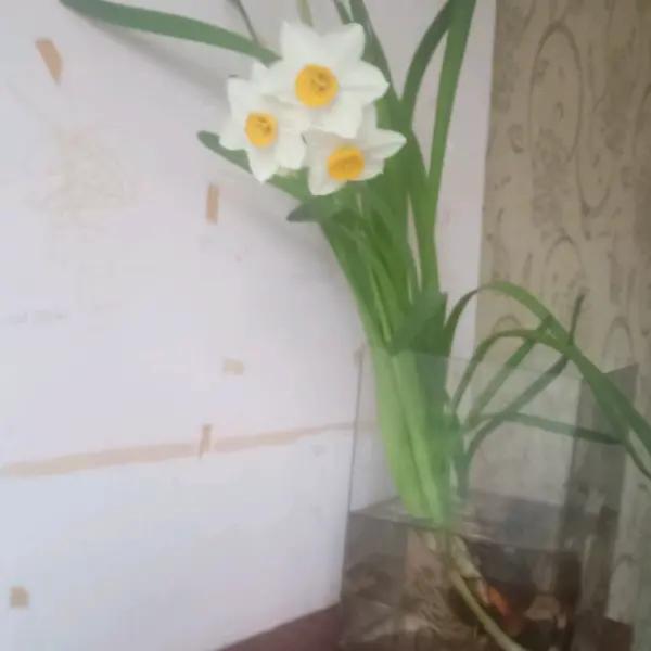 CJY程程