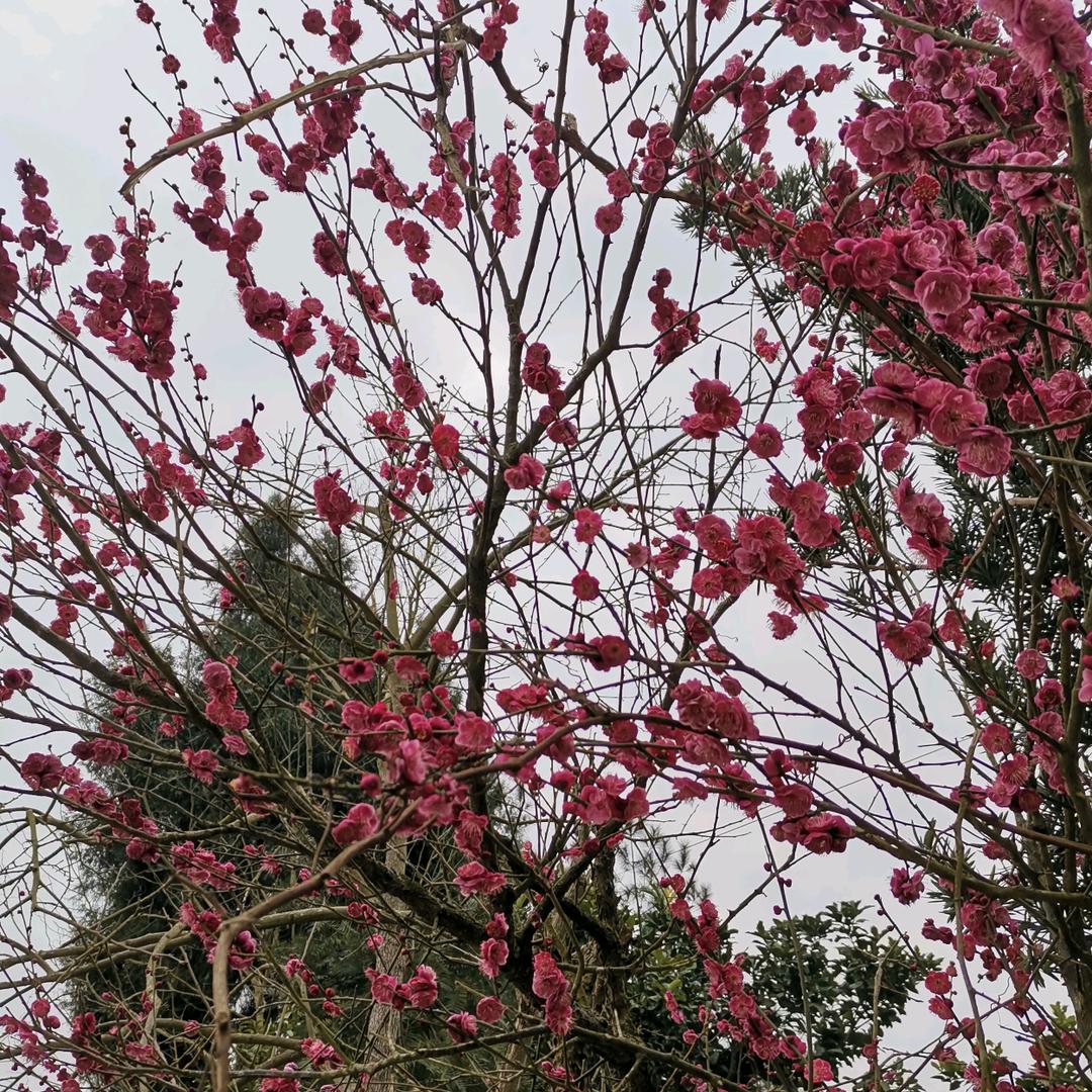 与往事干杯🍻🍀